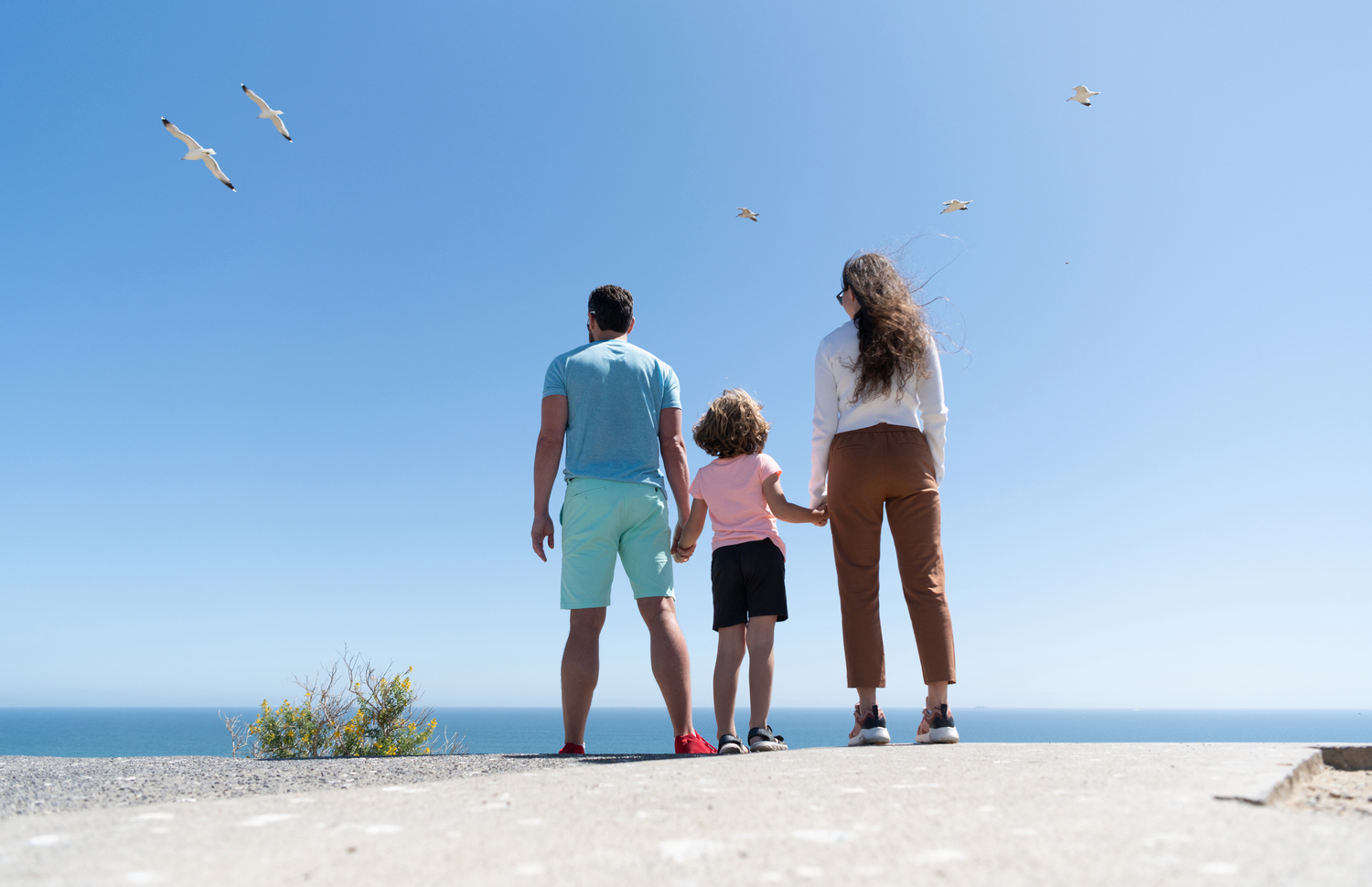 Life Insurance Planning and Services | Dahse Financial Group